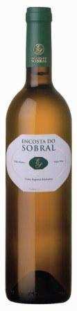 ENCOSTA DO SOBRAL VINHO BRANCO - 2007 CLASSIFICAÇÃO: Regional Ribatejano SUBREGIÃO: Tomar TIPO: Branco ANO: 2007 CASTAS: Fernão Pires (40%), Arinto (40%), Malvasia (20%) ANÁLISE SUMÁRIA: Teor