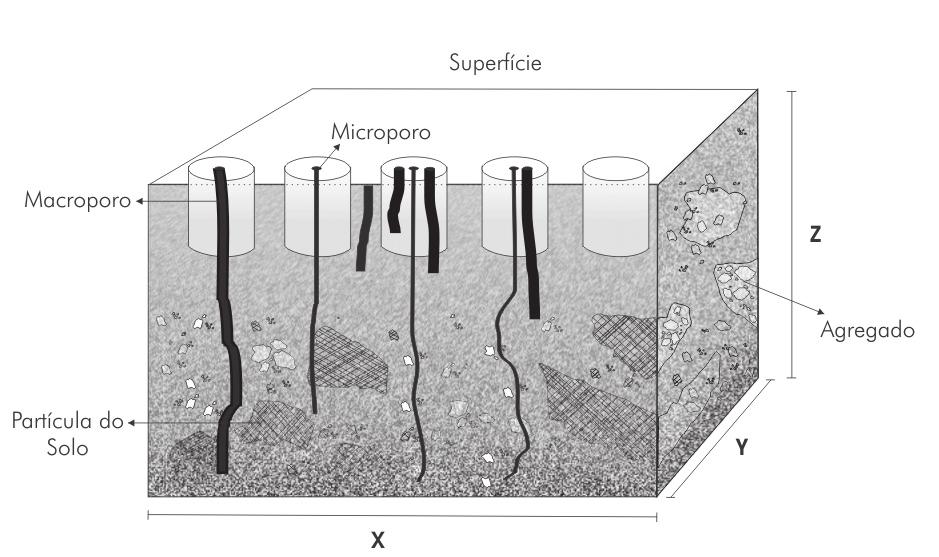 Figura 8 - Gráfico representativo da macroporosidade (m 3 m -3 ), microporosidade (m 3 m -3 ), densidade (Mg m -3 ), teor de argila (g g -1 ) e condutividade hidráulica saturada Ko (cm dia -1 )