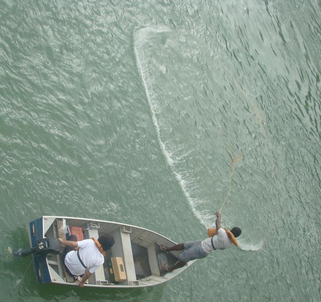 Captura de peixes com tarrafas Periodicidade, condições variadas