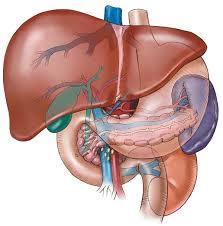 TERAPIA HORMONAL Vias de administração oral parenteral