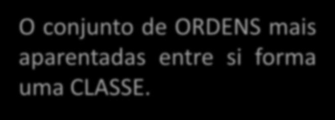 CIÊNCIAS, 7º Ano do Ensino Fundamental Reconhecimento dos vários Reinos e seus