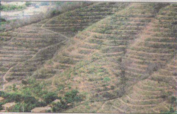 sementes e de adubos; Diminui o escoamento superficial; Aumenta a capacidade de