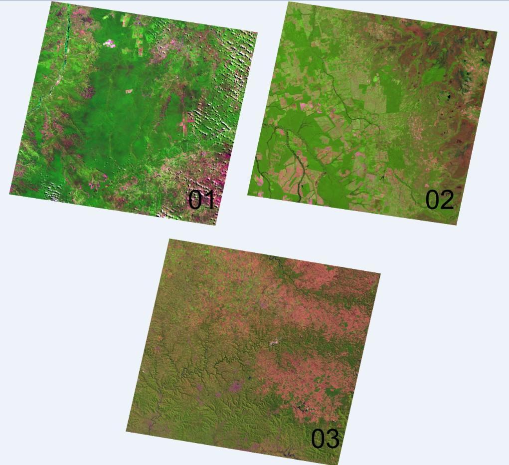 Figura 1 Imagens Landsat-5 utilizadas no estudo. Composição colorida falsa-cor : Banda 5 (R), Banda 4 (G), Banda 3 (B). Tabela 1 Informações das imagens utilizadas no estudo.