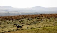 BIOMAS BRASILEIROS - Pampa - Bioma campestre restrito ao RS, ocupa 2,07% do território brasileiro.