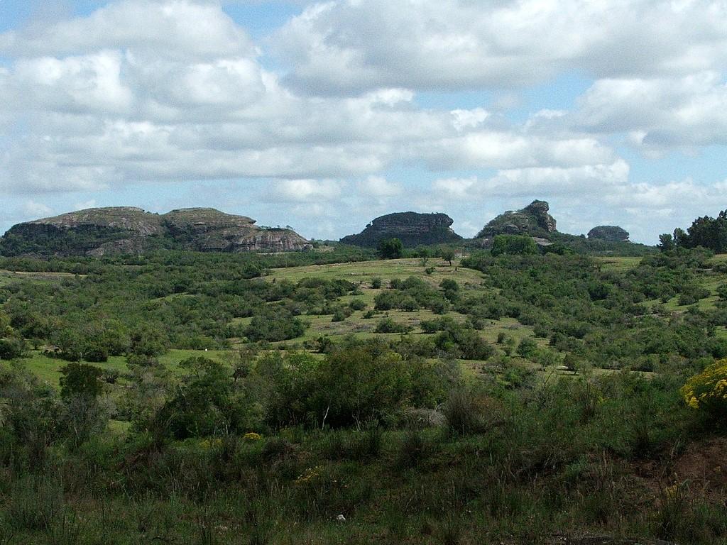 pau-ferro, butiazais, banhados, afloramentos rochosos etc.