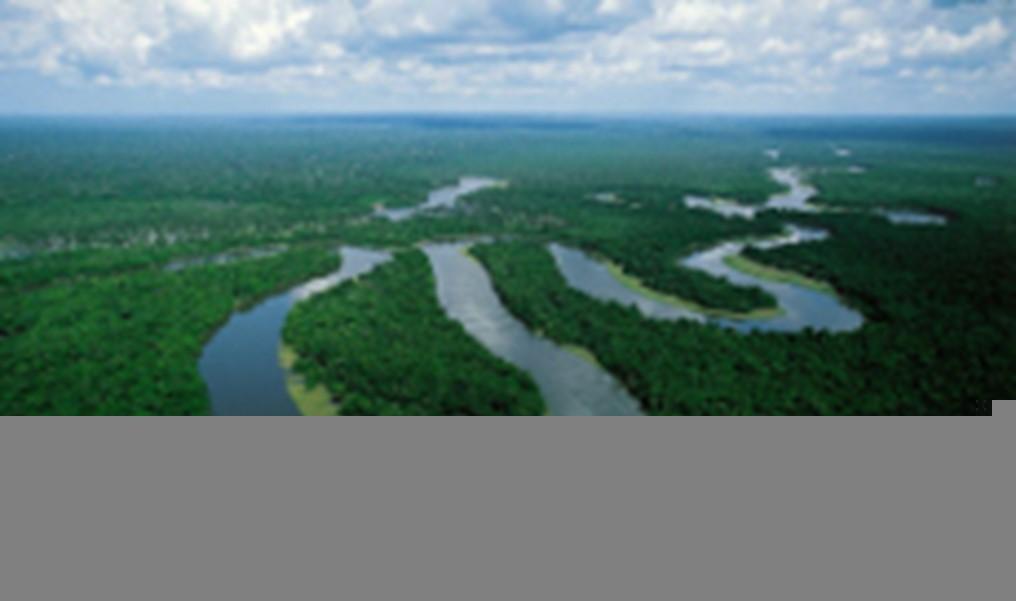 BIOMAS BRASILEIROS - Amazônia - Bioma florestal, ocupa 49,29% território brasileiro.