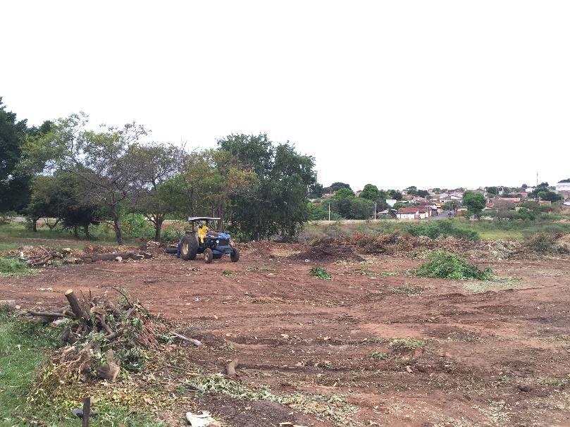 O Ecoverde conta com quatro funcionários da própria Secretaria do Meio Ambiente de Bauru e mais dois reeducandos do Centro de Progressão Penitenciária de Bauru, os quais participam de um programa de