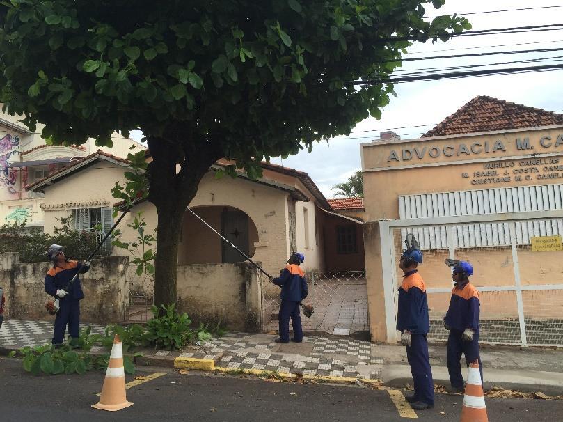 autorizando a execução da poda. Na Figura 72, apresenta-se a EMDURB executando uma poda.