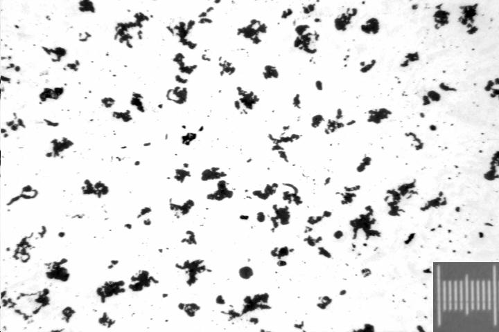 74 100 µm Figura 5.16 Forma da grafita apresentada na composição 4 à 270 C.