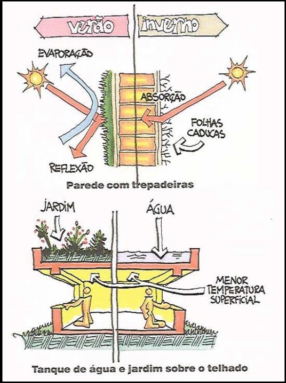 Construção de tanques de água sobre o telhado: assim como as plantas, a água também resfria a superfície do teto, pelo processo de