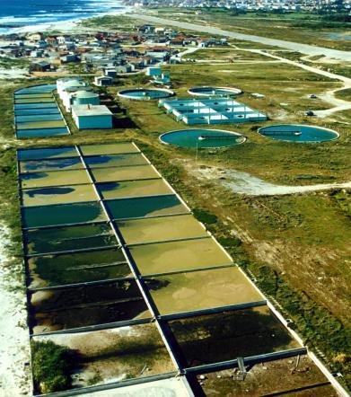 de Abastecimento de água e de Águas Residuais INSAAR 2008 (Dados