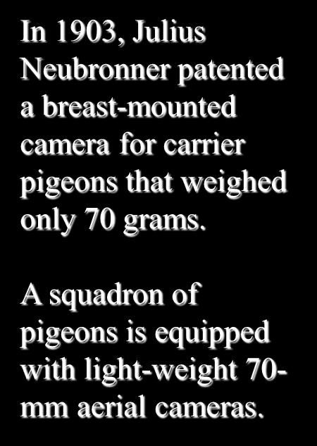 Pigeons In 1903, Julius Neubronner