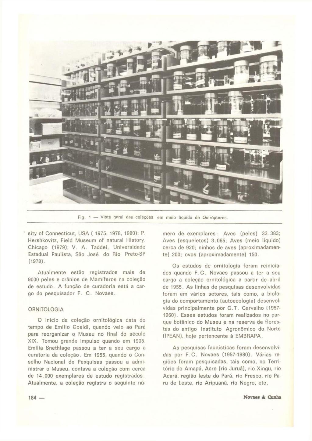 Fig. 1 Vista geral das coleções em meio líquido de Quirópteros. sity of Connecticut. USA ( 1975. 1978, 1980); P Hershkovitz, Field Museum of natural History. Chicago (1979); V. A. Taddei.