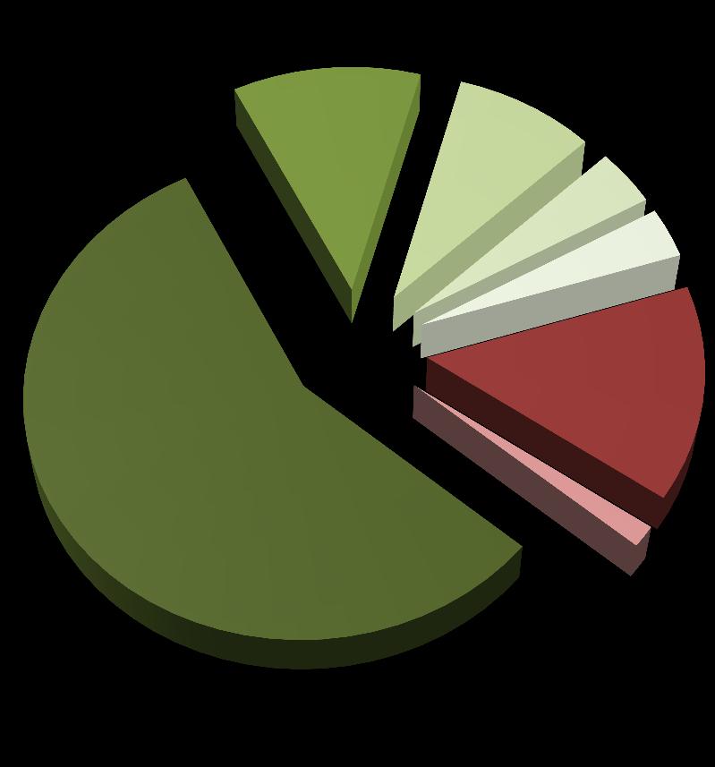 7,0% 3,6 2,5% 30 14,5% 2,0 1,4% 87,6 61,1% Hidrelétrica Biomassa Eólica