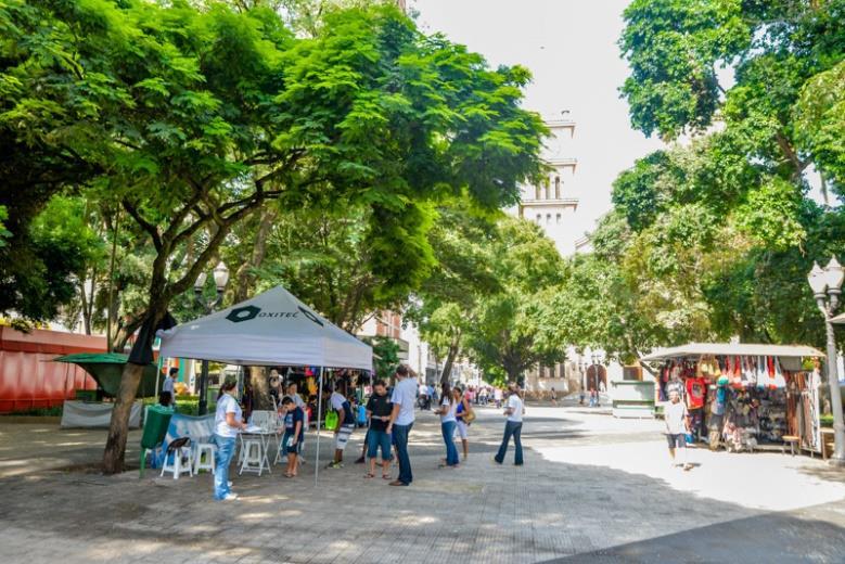 Piracicaba: Expansão Projeto Aedes do