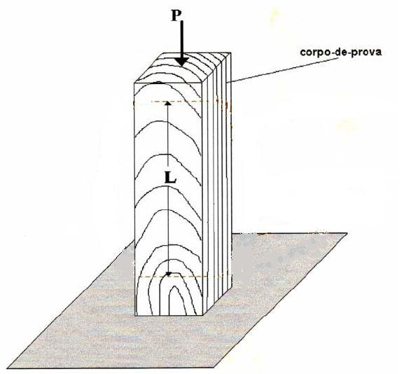 Figura 4. Corpo-de-prova do ensaio de compressão axial, mostrando o detalhe do sentido de aplicação de carga (adaptado de MORESCHI, 2005). Figure 4.