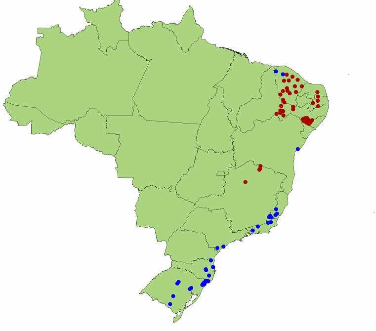 Localização geográfica dos municípios mais afetados O mapa abaixo mostra os 47 municípios mais afetados pela seca (em vermelho) e os 35 mais afetados pelas chuvas (em azul).