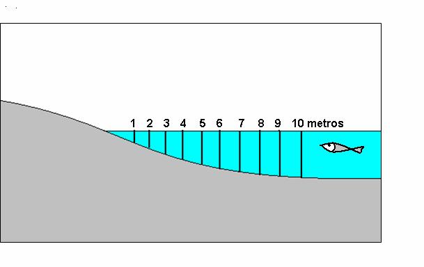 Tabela I - Frações granulométricas usadas na análise das amostras de sedimento das praias. Dimensões dadas em milímetros (segundo Folk, apud Ferreira Júnior & Castro, 2006).