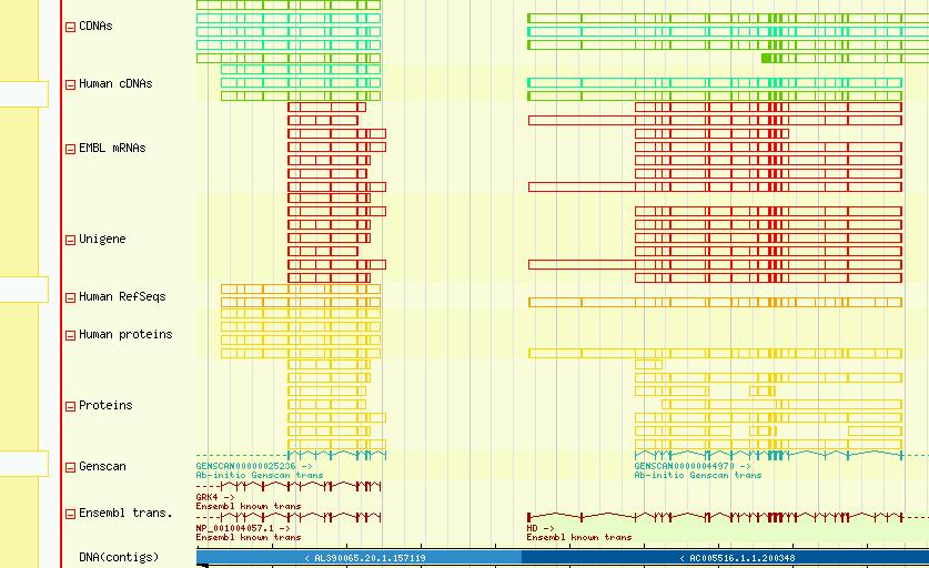 Folhear em genomas: Ensembl