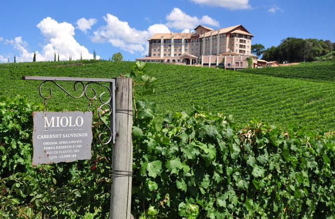 Destino Vinícolas Miolo Embora a família trabalhe na viticultura desde 1897, só em 1990 se dedicaram à produção comercial de vinhos.