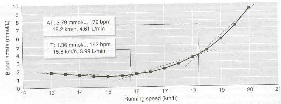 Limiar Anaeróbio Anaerobic threshold (AT) Carga de trabalho que causa um rápido aumento no Lactato