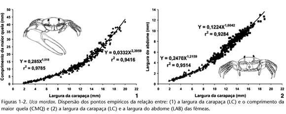 Alunos(as): AILA; ANA PAULA; BIANCA NOVI; CAMILA; ÉMILLE; JOYCE e JOSIANE Alometria entre duas variáveis Situação-Problema 02*: (Vunesp) Os biólogos dizem que há uma alometria entre duas variáveis, x