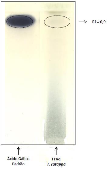 30 Figura 17: Cromatografia em Camada Delgada; FrAq obtida a partir das folhas de Terminalia catappa L. comparada ao padrão (ácido gálico).