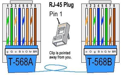 Cat 6