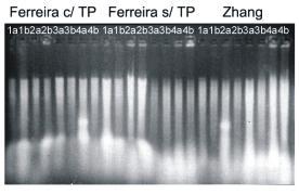 5 O grau de pureza das amostras de DNA com os protocolos de Ferreira e Grattapaglia com e sem TP e Zhang e Stewart, avaliados em espectrofotômetro, mostrou grau satisfatório de pureza; no entanto,