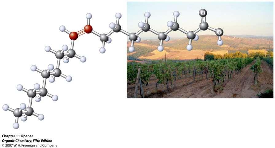 O ácido cis-9-octadecenóico (ácido oleico, um ácido