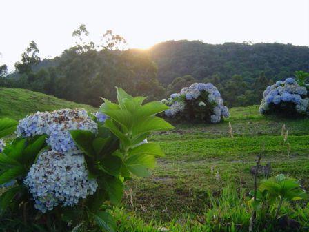 Página 1 de 5 INFORMATIVO DO SÍTIO ÁGUA DA RAINHA São Francisco de Paula Serra Gaúcha fevereiro de 2011 O Sítio Água da Rainha é uma pousada rural a 5