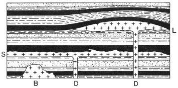 intercalados ou sobrepostos, possibilidade que deve ser avaliada nos estudos preliminares de uma jazida de carvão intrudida (Thomas, 2002). 25 Figura 5.