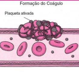 Quando há um ferimento com rompimento do vaso sanguíneo, ocorre uma série de eventos que impedem a perda de sangue.