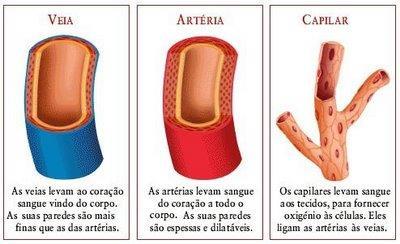 No esquema abaixo você pode ver o caminho percorrido pelo