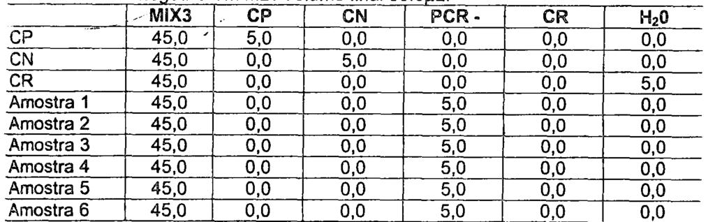 Tabela 8: Primeira etapa da PCR no teste de sensibilidade nas amostras com PCR negativa nas forma MB. Volume final 50.0uL. Segunda etapa da PCR.