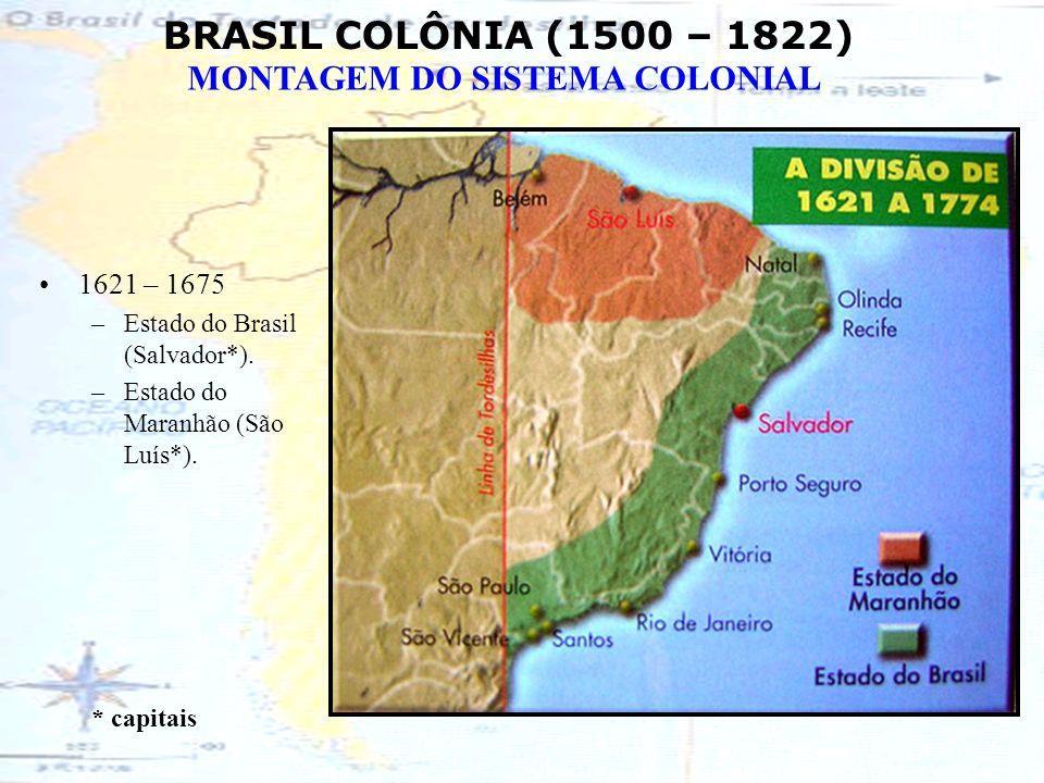 Os dois brasis Estrangeiros na costa As autoridades portuguesas na Colônia e a Coroa portuguesa continuavam imaginando formas mais eficientes para governar a colônia, para garantir que aqui se