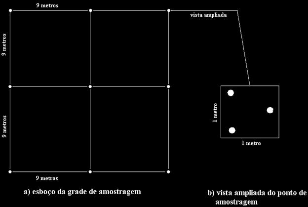 Em cada mata nativa foi amostrado um ponto, em incrementos de 1, 2 e 5 cm, até a profundidade de 50 cm para determinar a distribuição de 137 Cs em profundidade