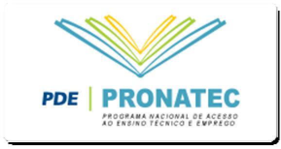 CODAI/UFRPE/PRONATEC Nº 003/2017, para atuar nas atividades do Programa Nacional de Acesso ao Ensino Técnico e Emprego (PRONATEC), assumo o compromisso de, uma vez selecionado(a), para atuar na