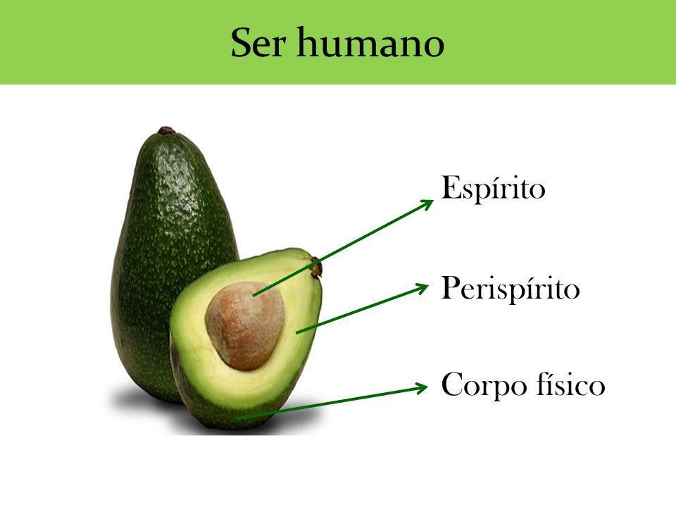 Envolvendo o gérmen de um fruto, há o perisperma; do mesmo modo, uma substância que, por