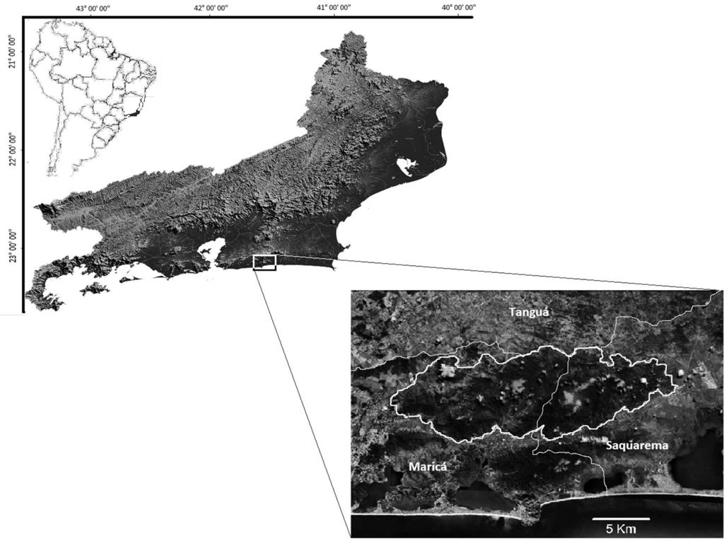 Angele Martins et al. (22 52 56 S, 42 41 04 W).