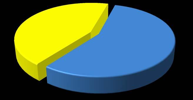 Gráfico 4 - PERCENTUAL DOS ENTREVISTADOS QUE