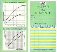 Na primeira consulta, o obstetra tem a oportunidade de realizar uma entrevista detalhada com a gestante, englobando vários aspectos.