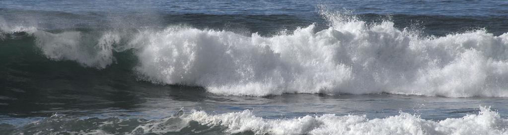 Equipamentos e Serviços Vigilância Sim Posto Socorro Sim Recolha de Lixo Sim Sanitários Sim Duche Sim Limpeza de Praia Sim Acesso a deficientes Sim Animais domésticos Não Painel informativo Sim