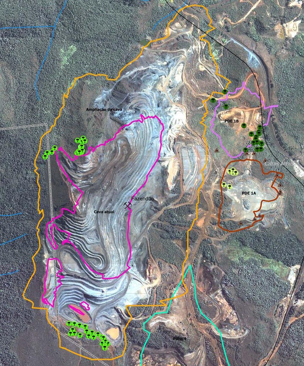 13 1.2 DESCRIÇÃO DA ÁREA DE TRABALHO A área de trabalho está contida na mina de Fazendão, na qual se insere a cava São Luiz, faz parte do Complexo de Mariana, da Vale, localizado na parte central do