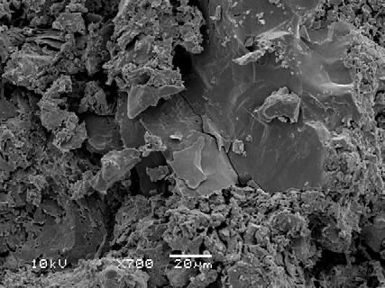 33 - Micrografias da superfície