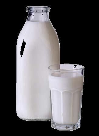 Lactose A lactose (açúcar do leite) é o principal