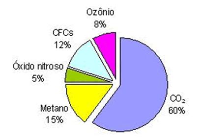 Sucessão Ecológica É o desenvolvimento de uma comunidade, que compreende à sua origem e o crescimento até chegar a um estado de equilíbrio dinâmico com o ambiente.