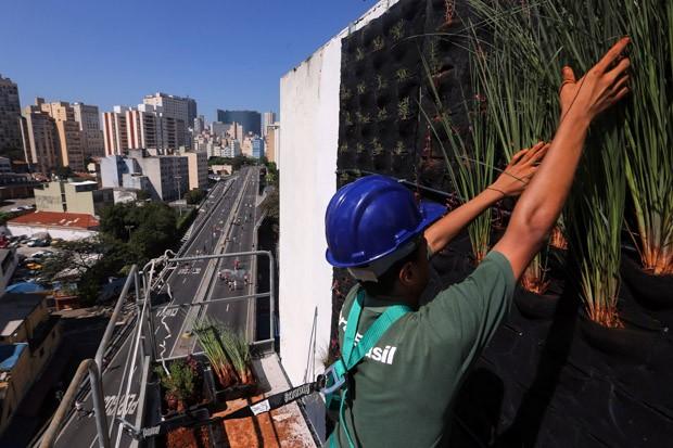 Conforme dados da Prefeitura Municipal de São Paulo (2015), a estrutura, que começou a ser montada no dia 4 de julho de 2015, teve seu projeto aprovado pela Secretaria Municipal do Verde e do Meio