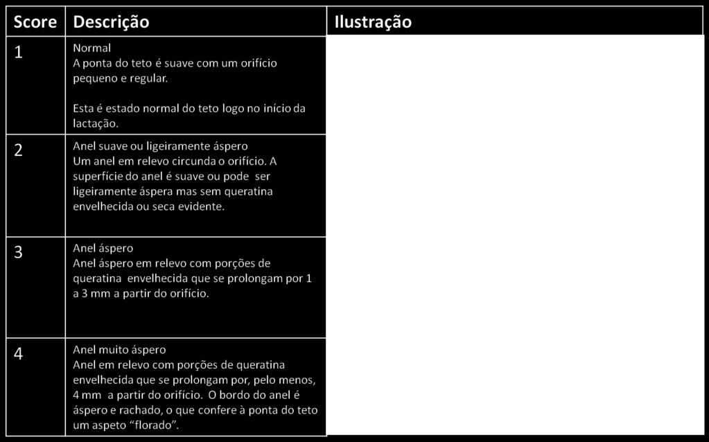 Controlo e Prevenção de Mastites Data avaliação 27-09-2012 Lote animais Efectivo Score 1 Score 2 Score 3 Score 4 Total N quartos