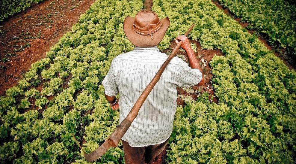 Os itens são produzidos nas áreas de assentamentos da reforma agrária da região, comercializados direto da mão do produtor, por um preço abaixo do mercado convencional.